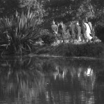 Stow Lake morning walks, SF 1967-68
