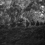 Stow Lake morning walks, SF 1967-68