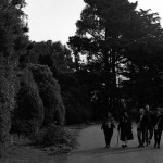 Stow Lake morning walks, SF 1967-68