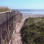 Stinson Beach house 2